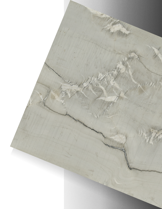 CALACATTA BOHEME / QUARTZITE - HONED 3CM