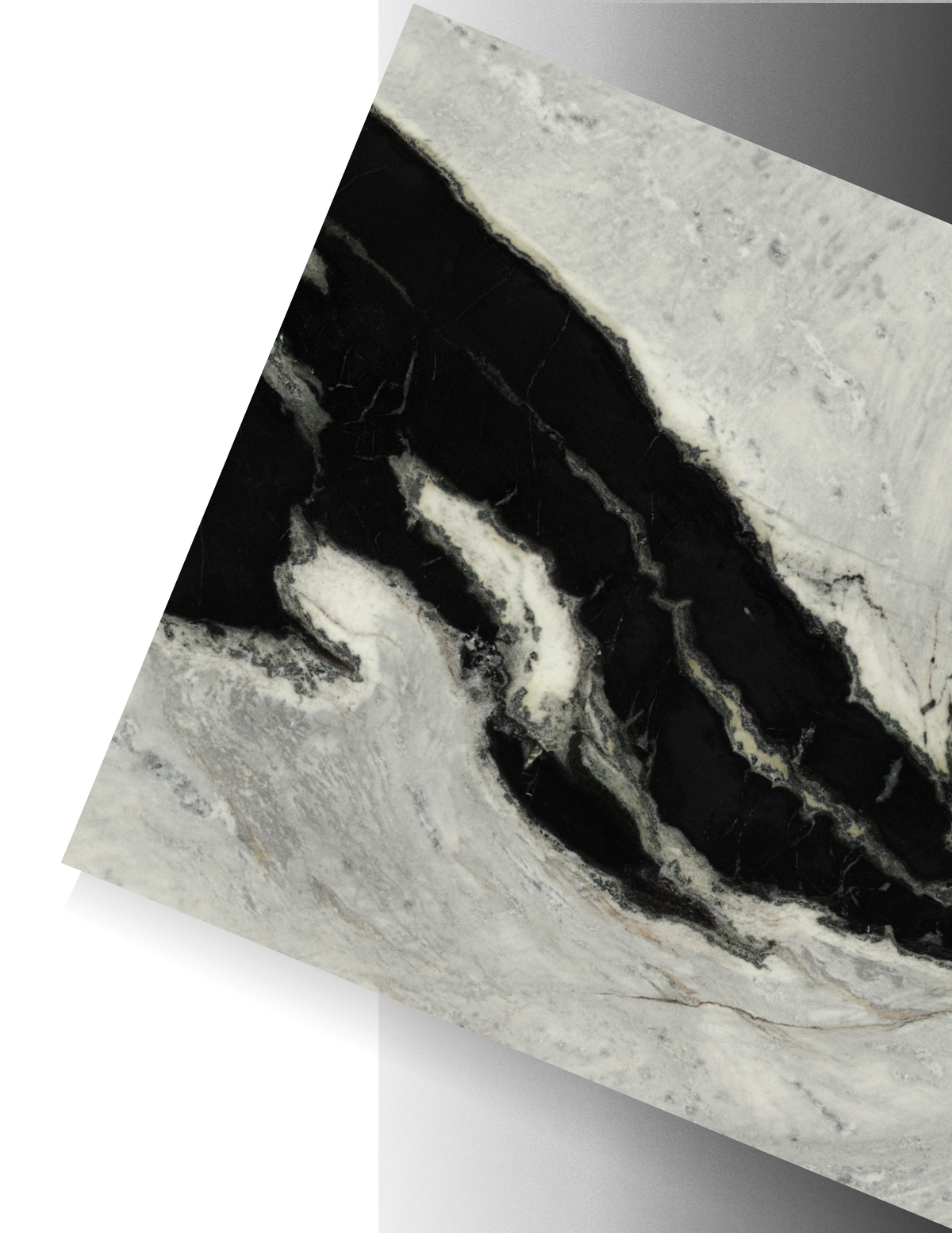 DALMATA / MARBLE - POLISHED 2CM