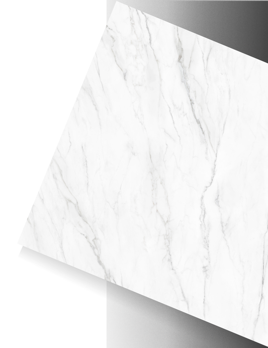 CALACATTA CLASSIC / AGD PORCELAIN - SILK 12MM