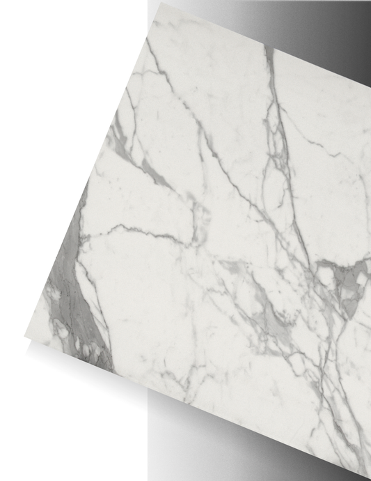 ESTATUARIO / AGD PORCELAIN - SILK/POLISHED 12MM
