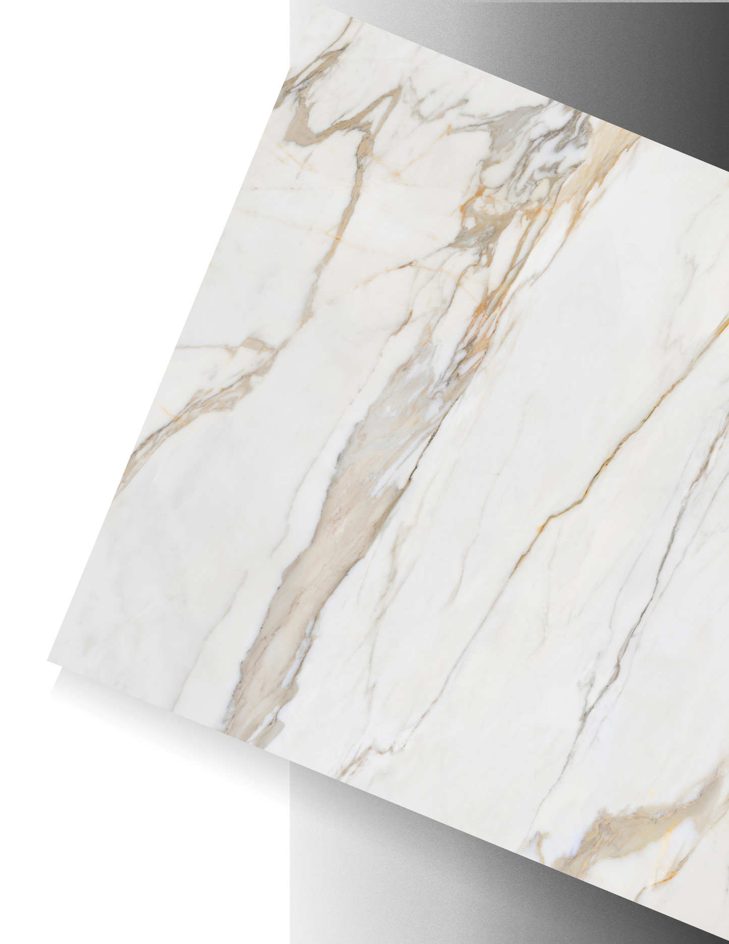 CALACATTA GOLD / AGD PORCELAIN - SILK/POLISHED 12MM
